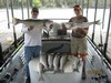(06/28/2017) - Nice Striped Bass